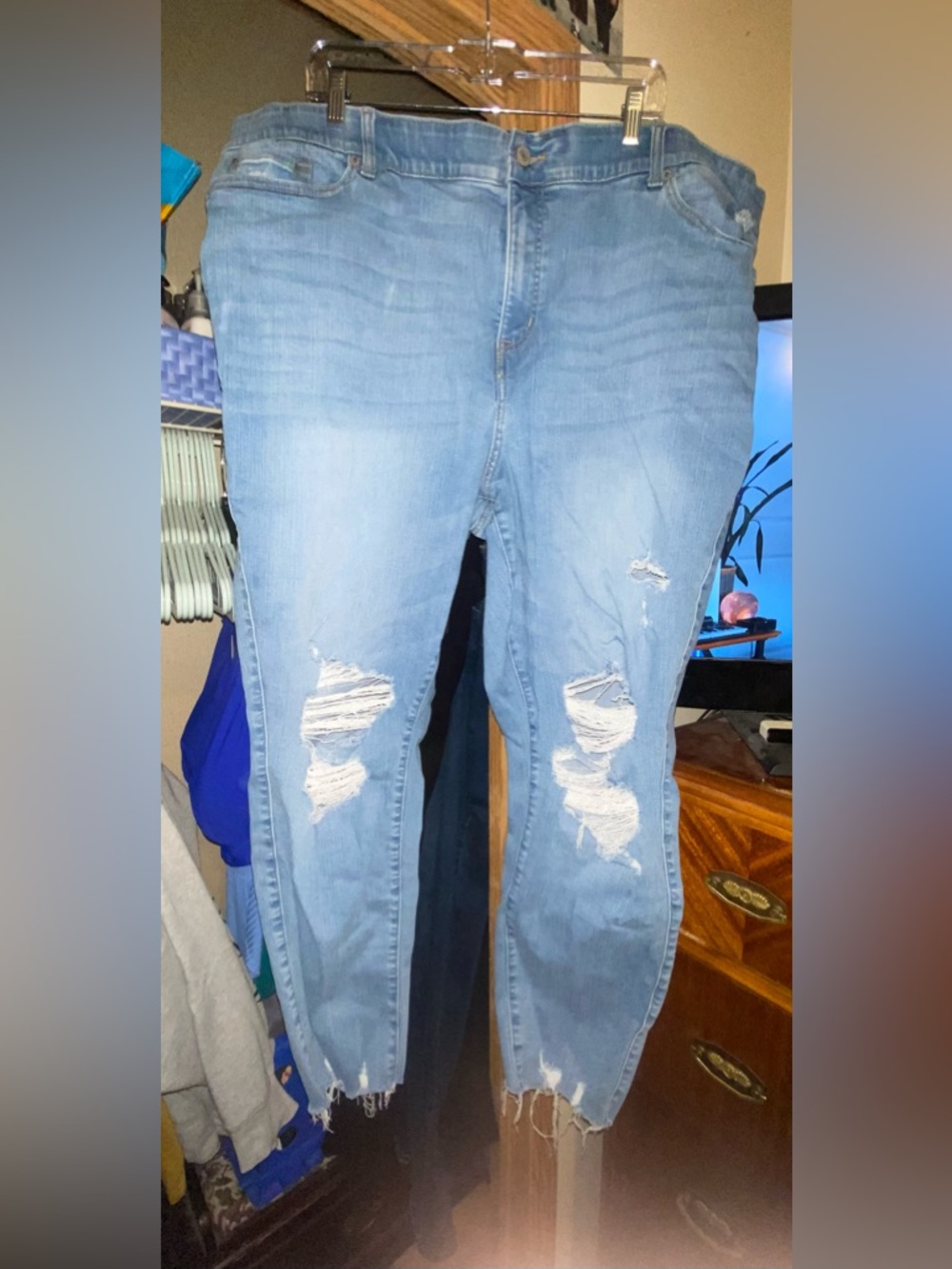 Torrid Jeans